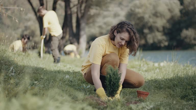 Best Lawn Drainage Solutions  in Vinton, IA