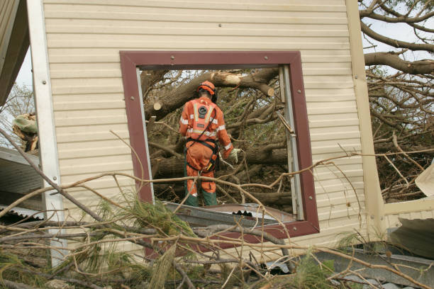 How Our Tree Care Process Works  in  Vinton, IA